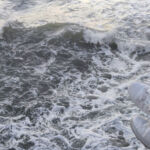 cecile amiel coach marketing therapeutes biarritz - 1