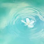 cecile amiel marketing business coach vibrante rayonnante anglet - 1